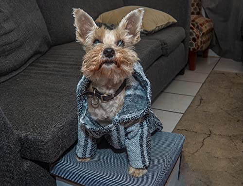 Texture douce et matière recyclée du poncho Baja Fiesta Brands sur chien.