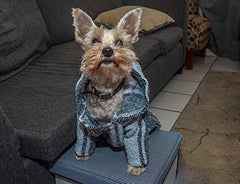 Texture douce et matière recyclée du poncho Baja Fiesta Brands sur chien.