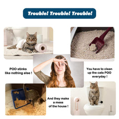 FIFIPETS systeme-transition-trois-etapes: installation simple et transition en douceur.