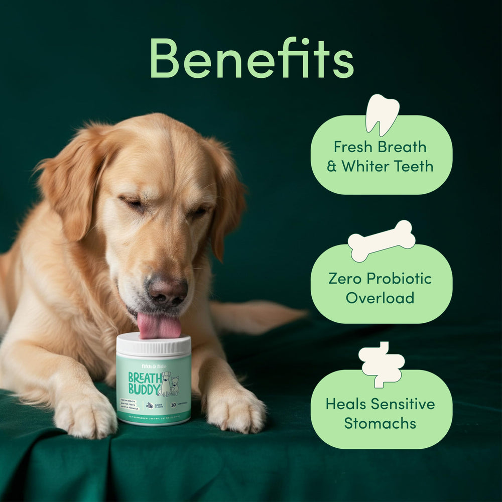 Breath Buddy Fifth & Fido, agrément alimentaire sans brossage quotidien.