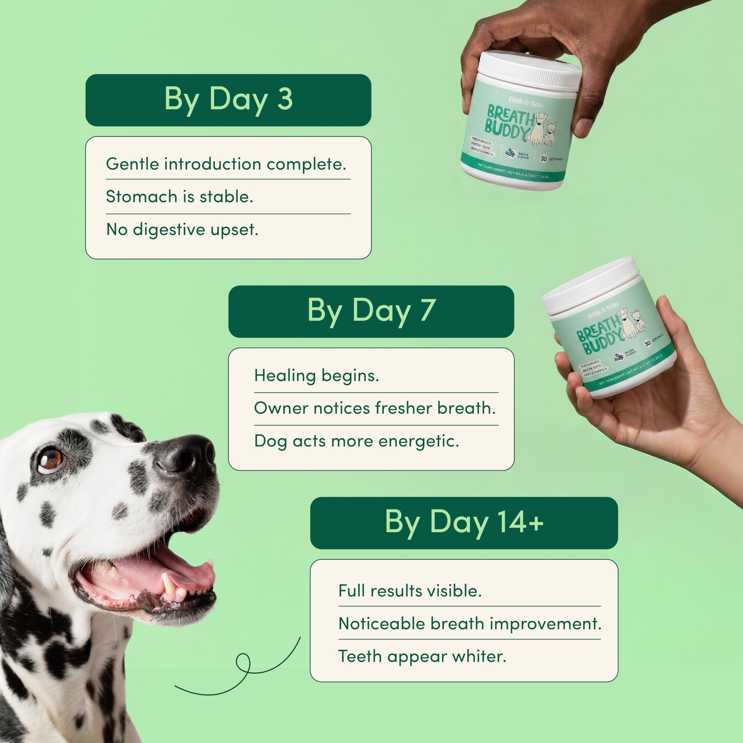 Breath Buddy Fifth & Fido, saveur bacon naturel, apprécié par les chiens.