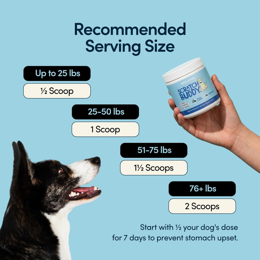 Scratch Buddy : poudre bacon, saveur populaire et mélange facile.