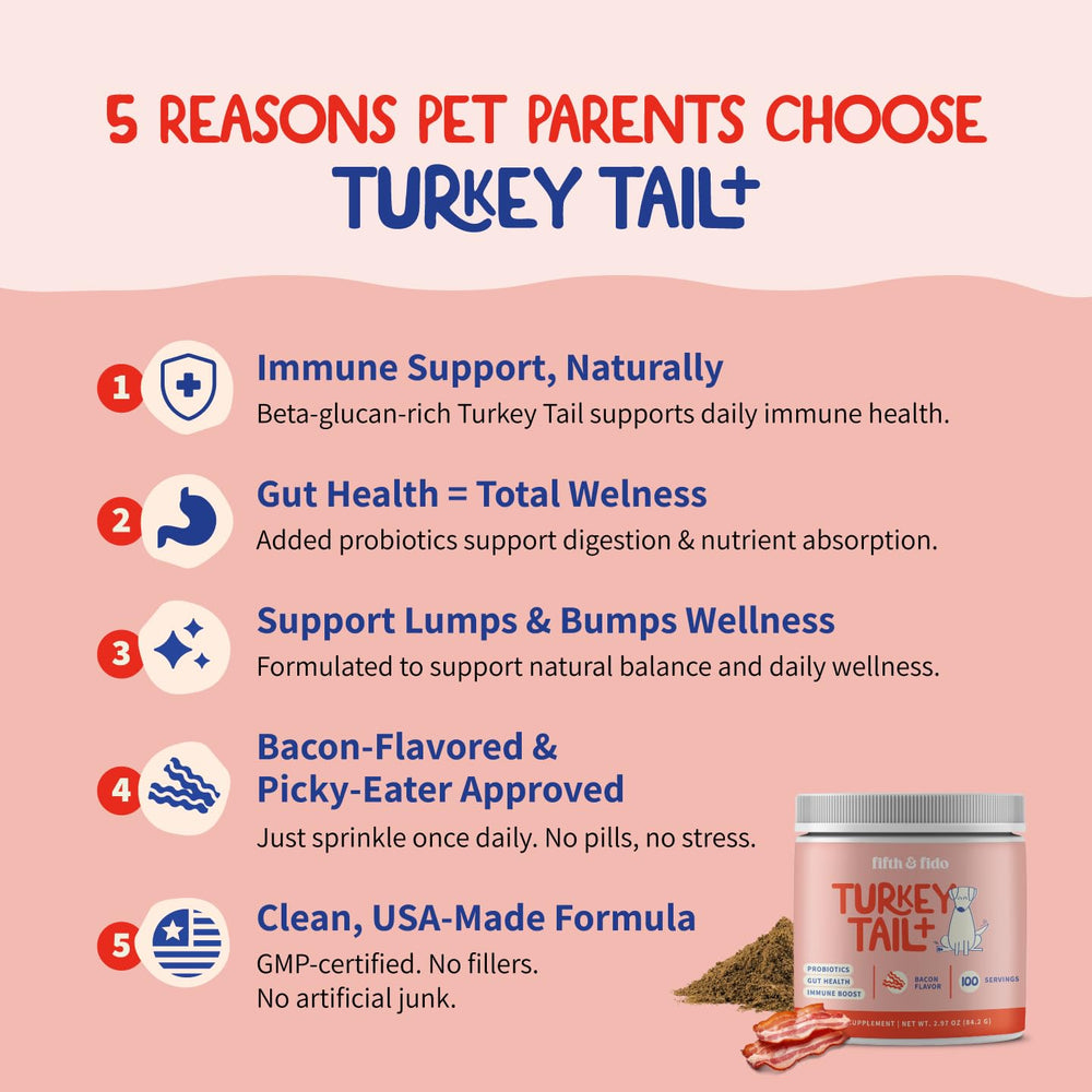 Fifth & Fido – probiotiques pour chien, meilleure digestion et équilibre intestinal.