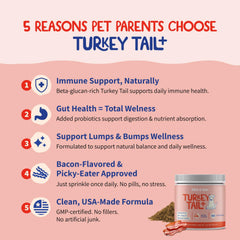 Fifth & Fido – probiotiques pour chien, meilleure digestion et équilibre intestinal.