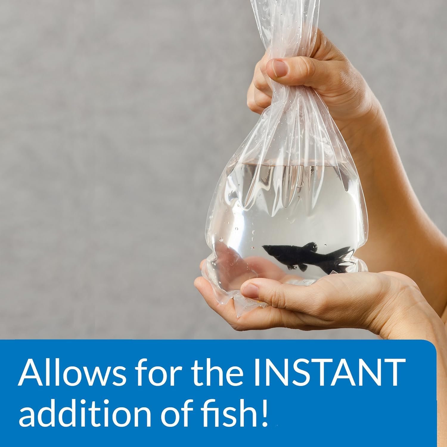 Soutien au filtre actif pour une eau stable.