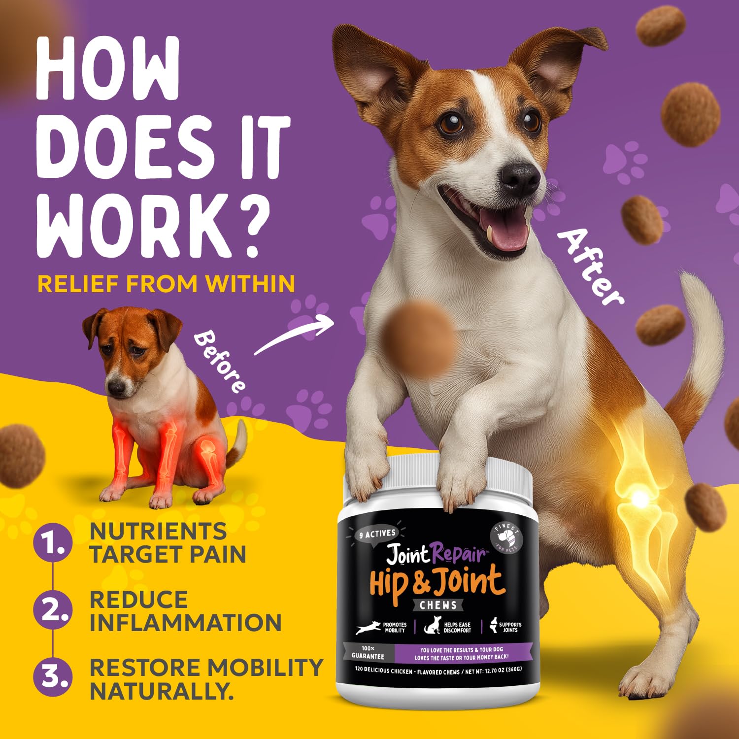 Propriété chanvre Finest For Pets soutenant les articulations et le bien-être