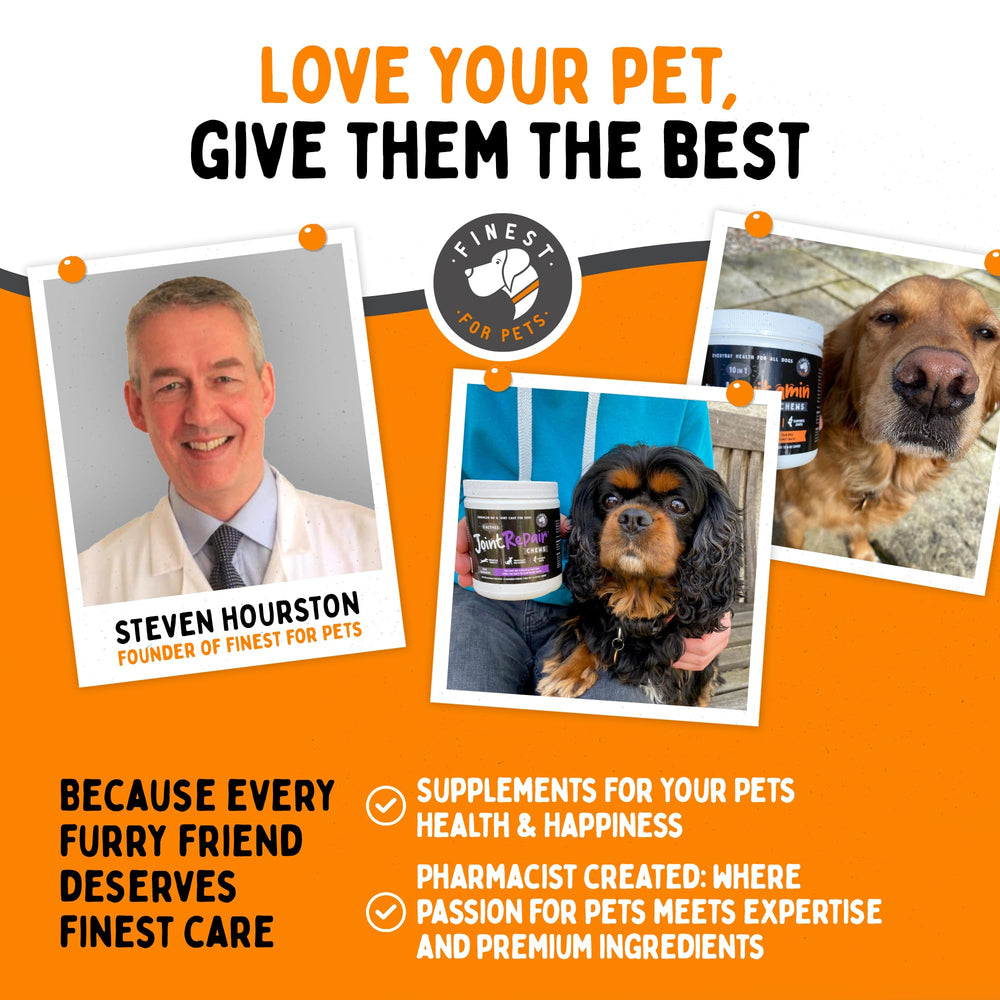 Finest For Pets – soutien des fonctions cognitives et vitalité.