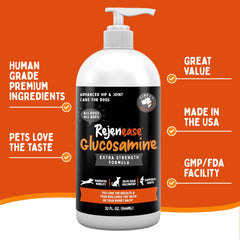 Finest For Pets – chien actif affichant mobilité améliorée grâce au complément.