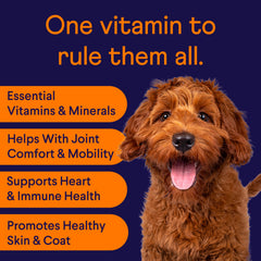 Finn All-in-1: probiotiques pour digestion, soutien intestinal sain.