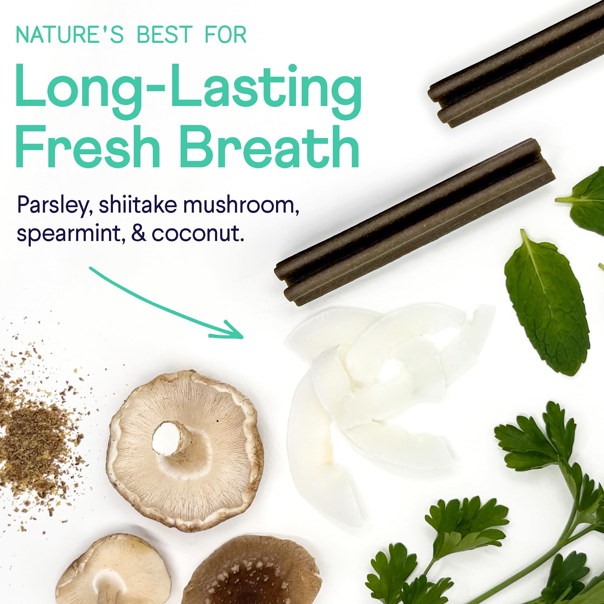 Finn Plaque Patrol sans-preservateurs-artificiels, choix naturel pour les friandises dentaires.