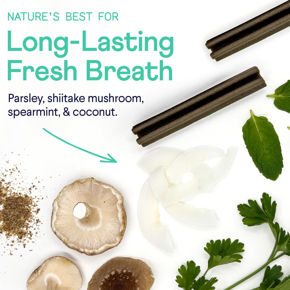 Finn Plaque Patrol sans-preservateurs-artificiels, choix naturel pour les friandises dentaires.