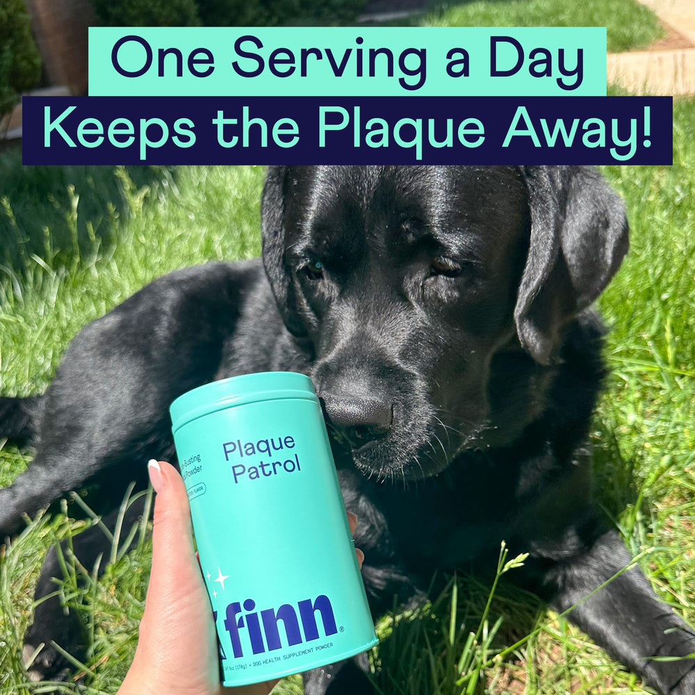 Finn Poudre Dentaire Chiens : emballage pratique et clair.