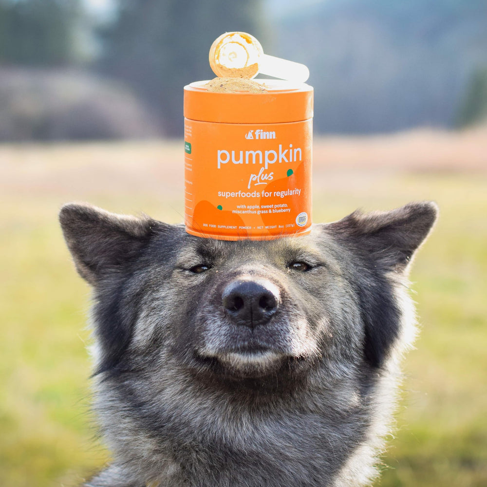 Emballage Finn Pumpkin Plus prêt à l'emploi pour un usage facile.