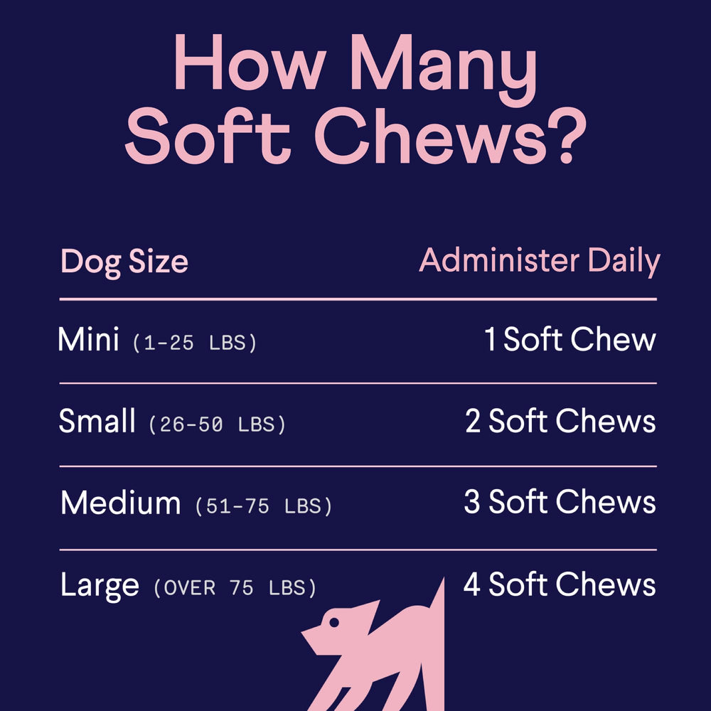 Chien – pelage brillant grâce à Finn Skin & Coat.