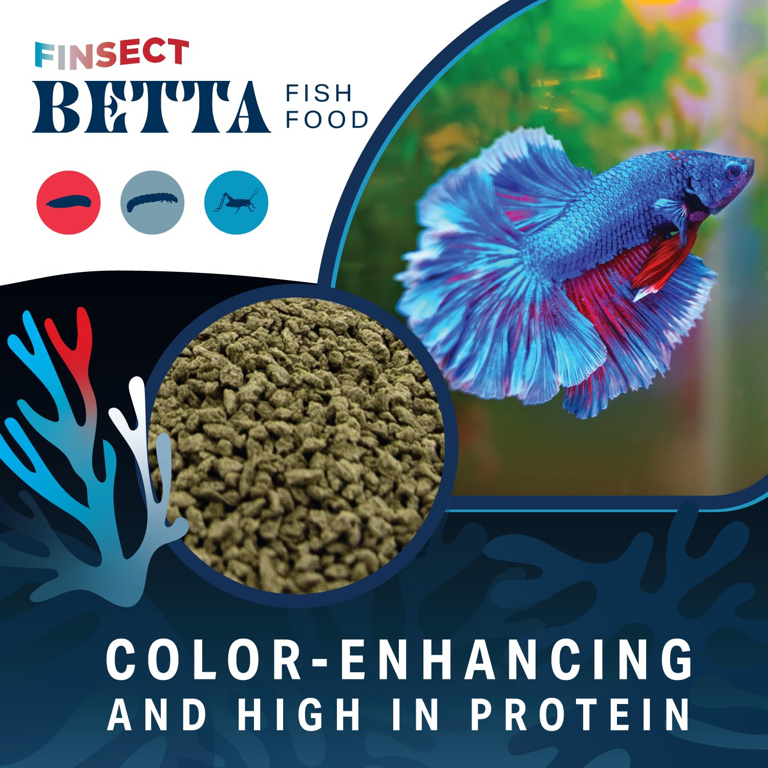 Propriété antimicrobienne naturelle des ingrédients Finsect Betta.