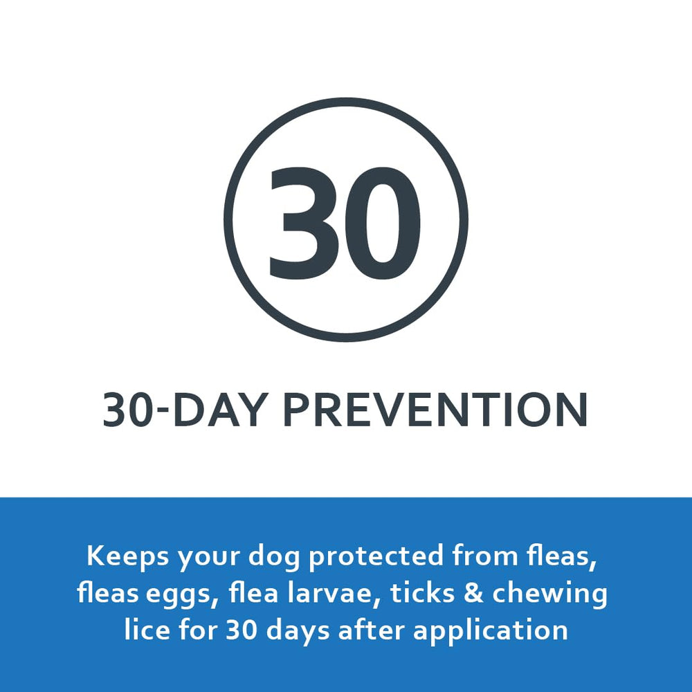 Fiproguard protège contre les tiques vectrices et les tiques dangereuses pour les chiens.