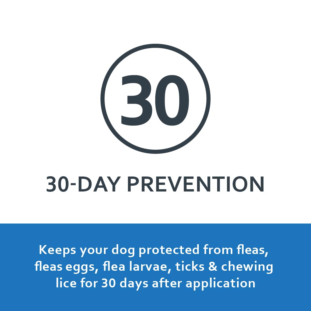FIPROGUARD Plus aide à prévenir les tiques chez les chiens