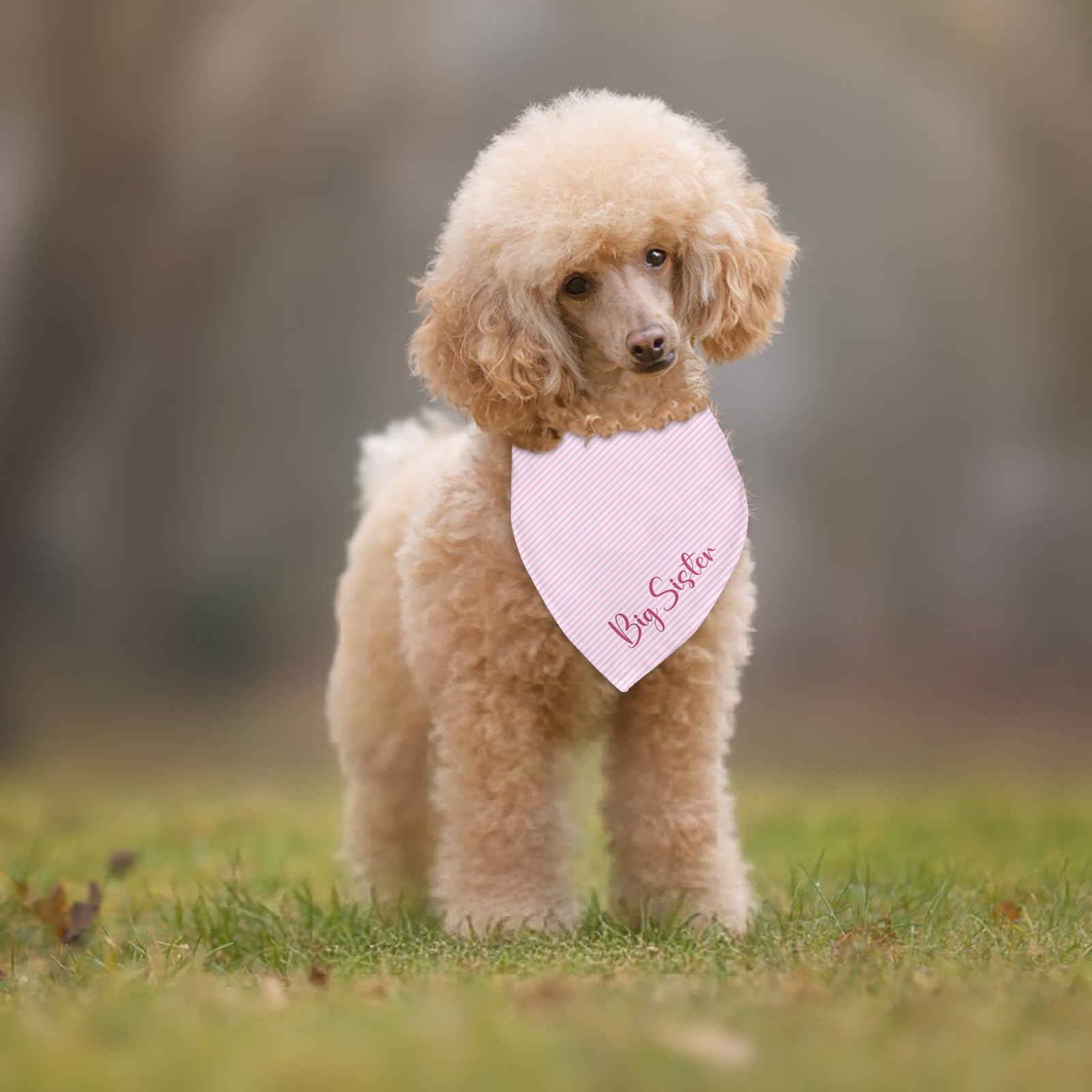 Bandana Fipsieneml cadeau-grossesse rose, idée cadeau attentionnée pour la famille