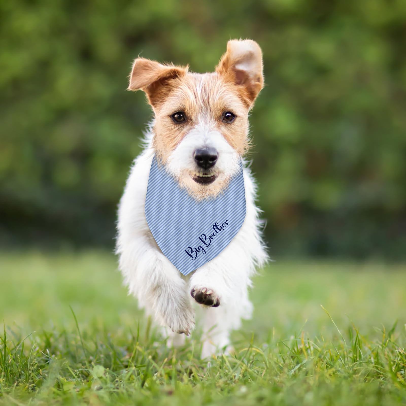 Matière polyester doux, bandana Fipsieneml bleu, léger et durable.