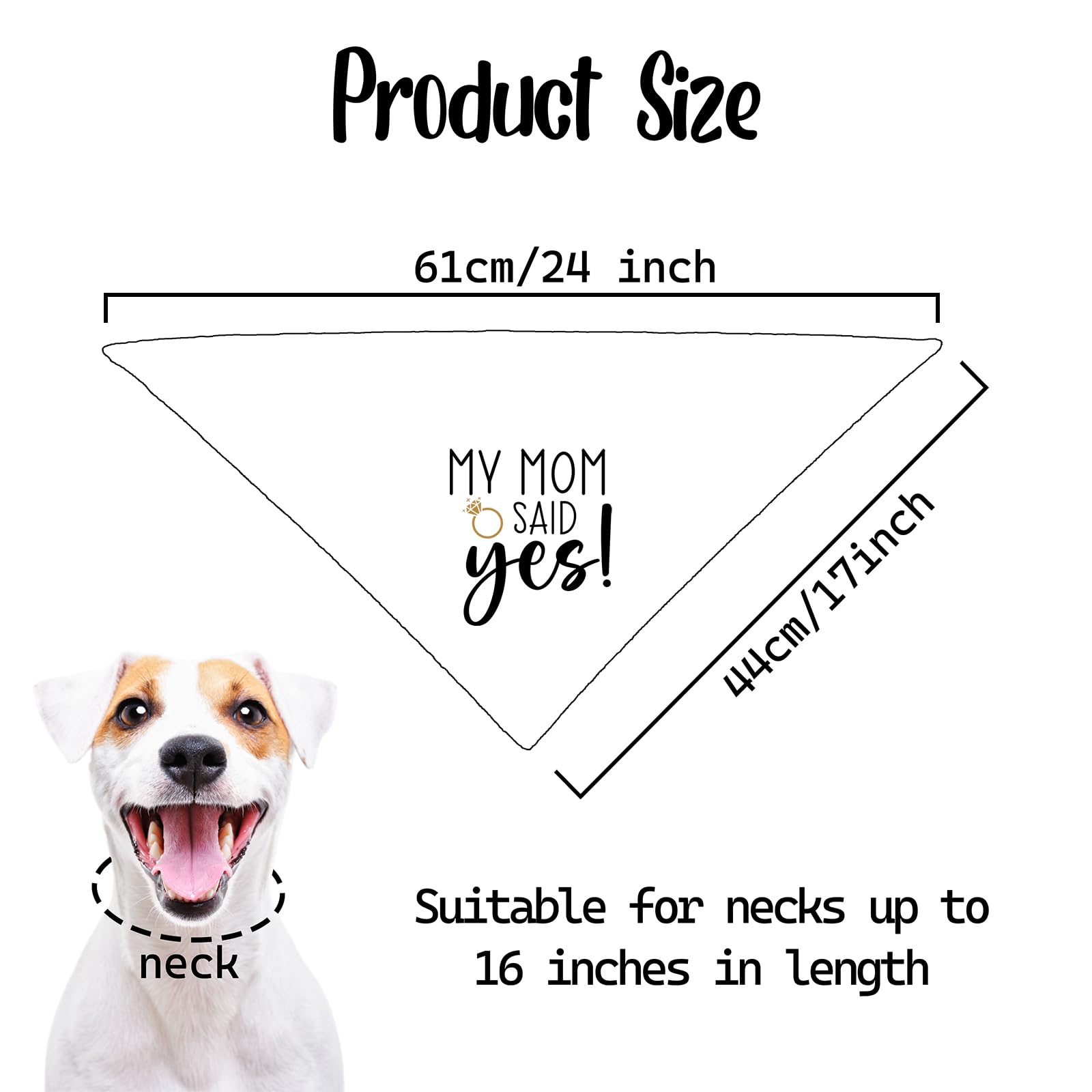 Bandana chien photo-prop Fipsieneml, apporte une touche ludique