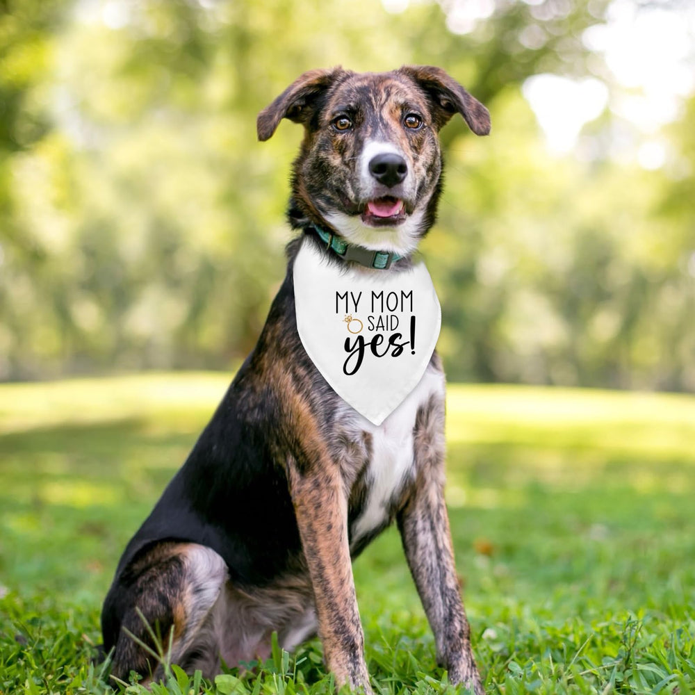 Fipsieneml bandana chien poids 15 g, facile à enfiler sans gêner