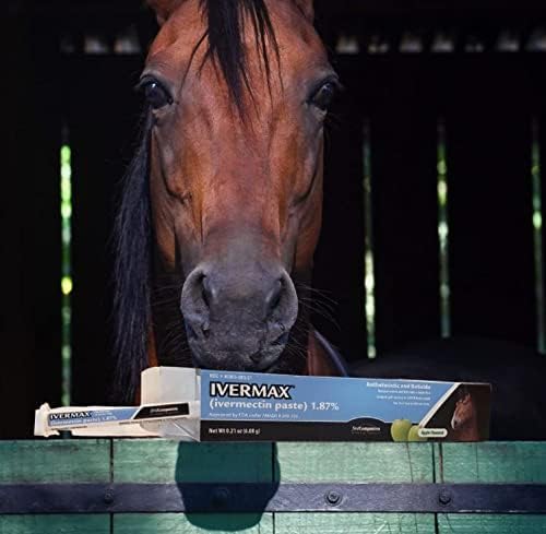 Pâte Ivermax cheval en dose unique prête à être administrée