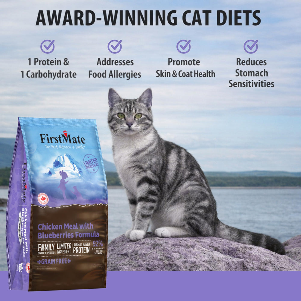 FirstMate myrtilles – antioxydants naturels pour une alimentation équilibrée.