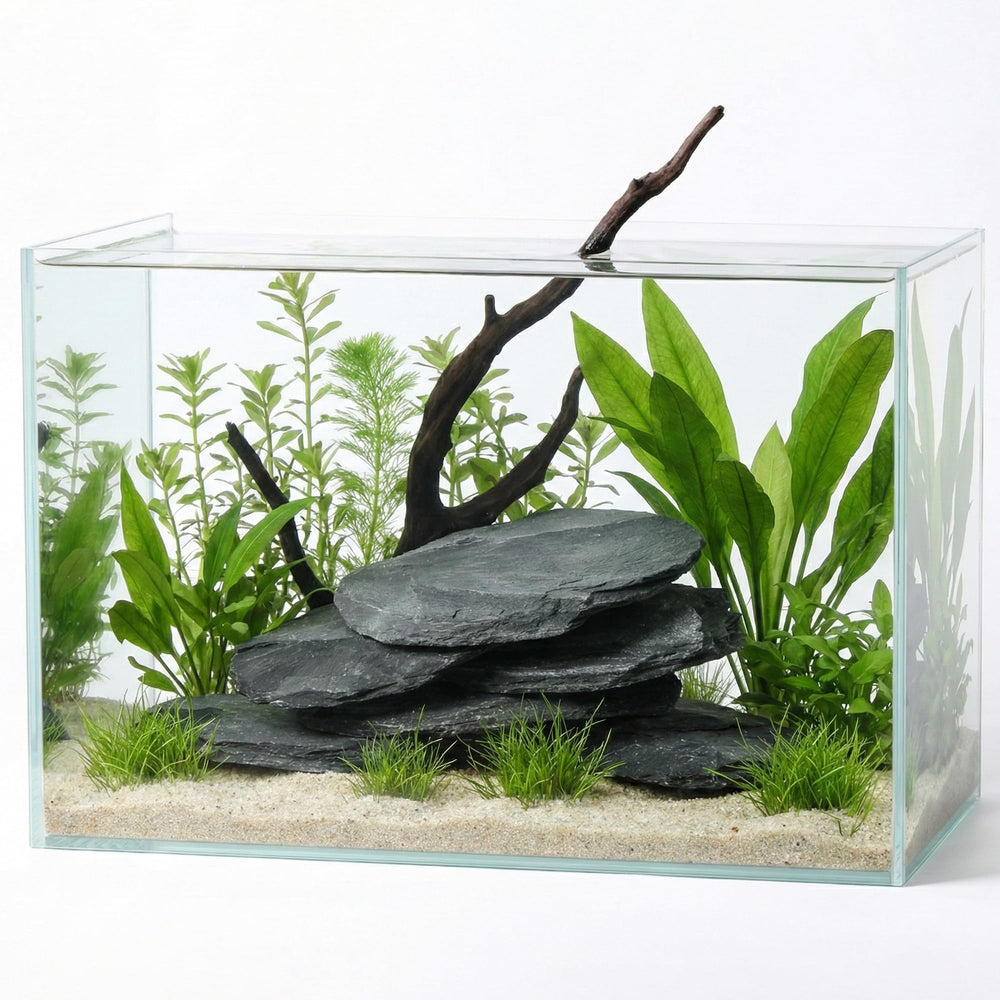 FISCAPE ardoise naturelle: décor polyvalent pour terrariums