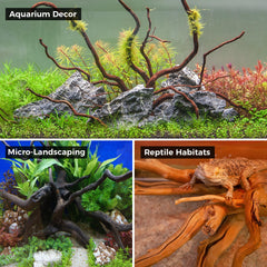 FISCAPE bois flotté naturel 6-10 pouces ensemble, surfaces d'escalade pour reptiles.