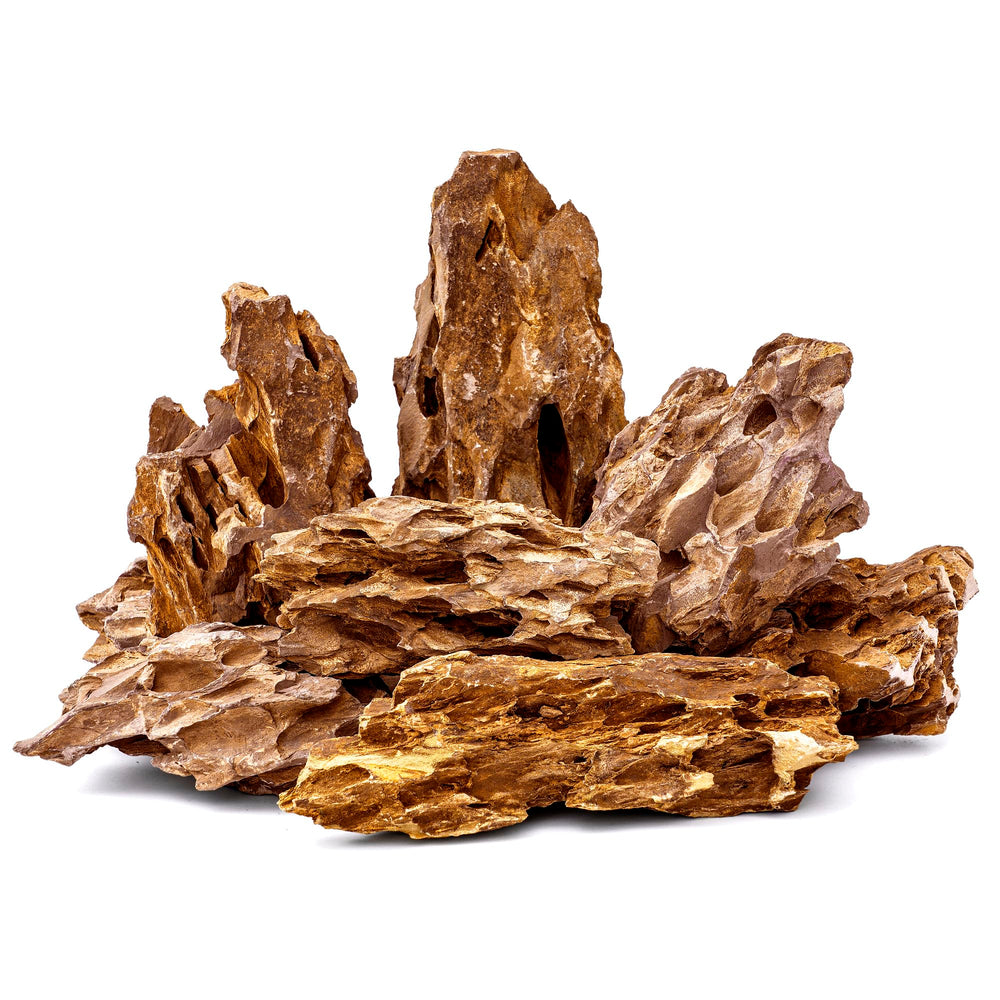 FISCAPE Pierre Dragon naturelle, rocher d'aquarium robuste pour structurer un décor naturel