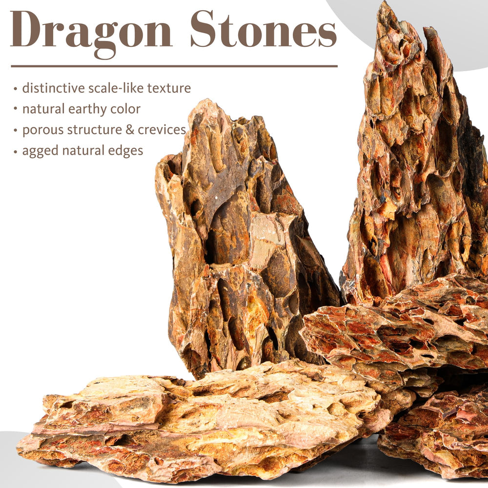FISCAPE Pierre Dragon naturelle, rocher d'aquarium idéal pour créer ridges et niveaux