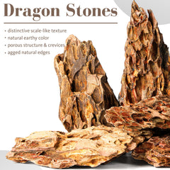 FISCAPE Pierre Dragon naturelle, rocher d'aquarium idéal pour créer ridges et niveaux