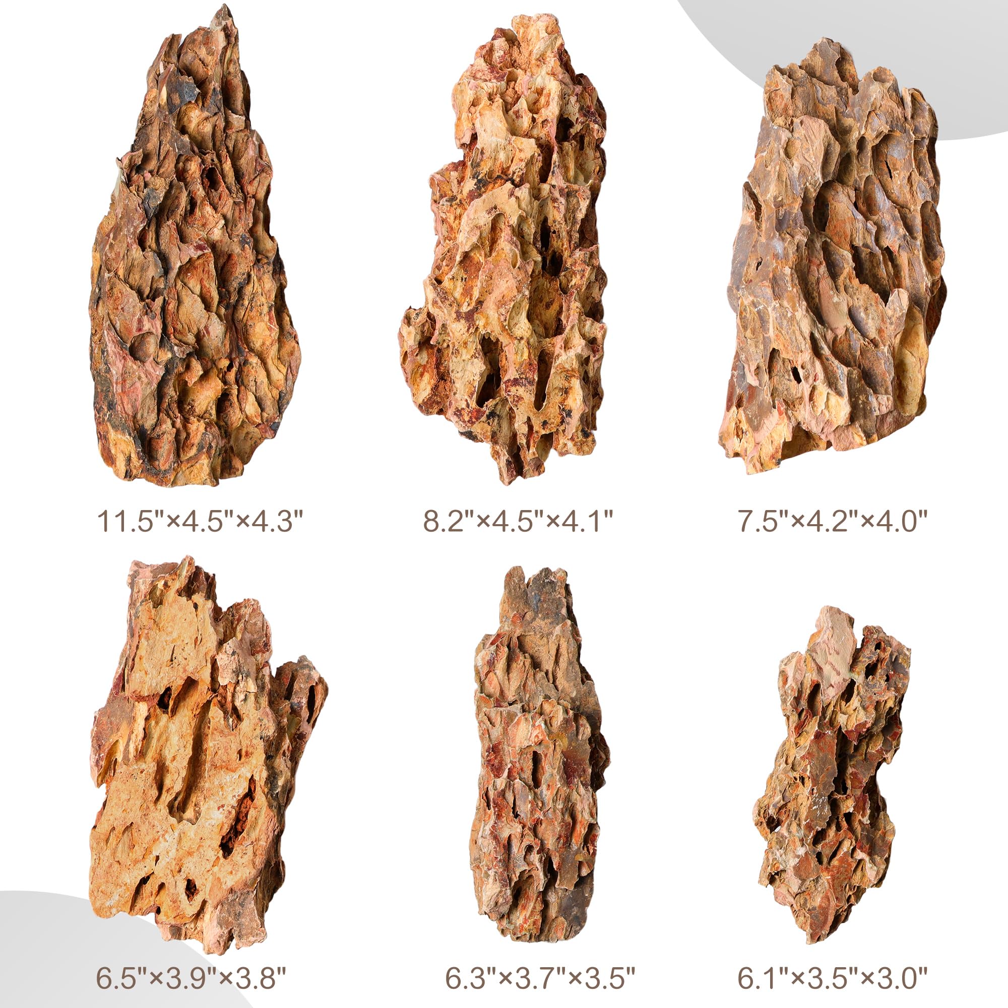 FISCAPE Pierre Dragon naturelle, rocher inerte qui ne modifie pas le pH pour plantes fragiles