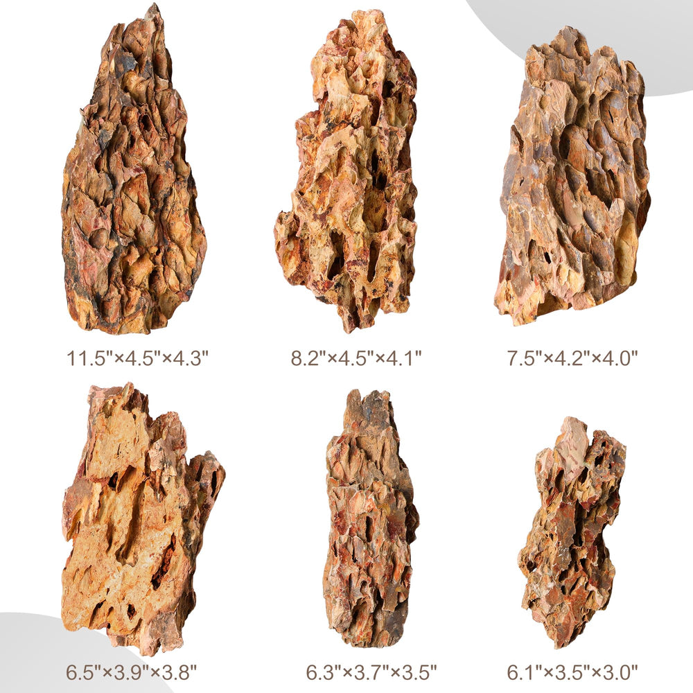 FISCAPE Pierre Dragon naturelle, rocher inerte qui ne modifie pas le pH pour plantes fragiles