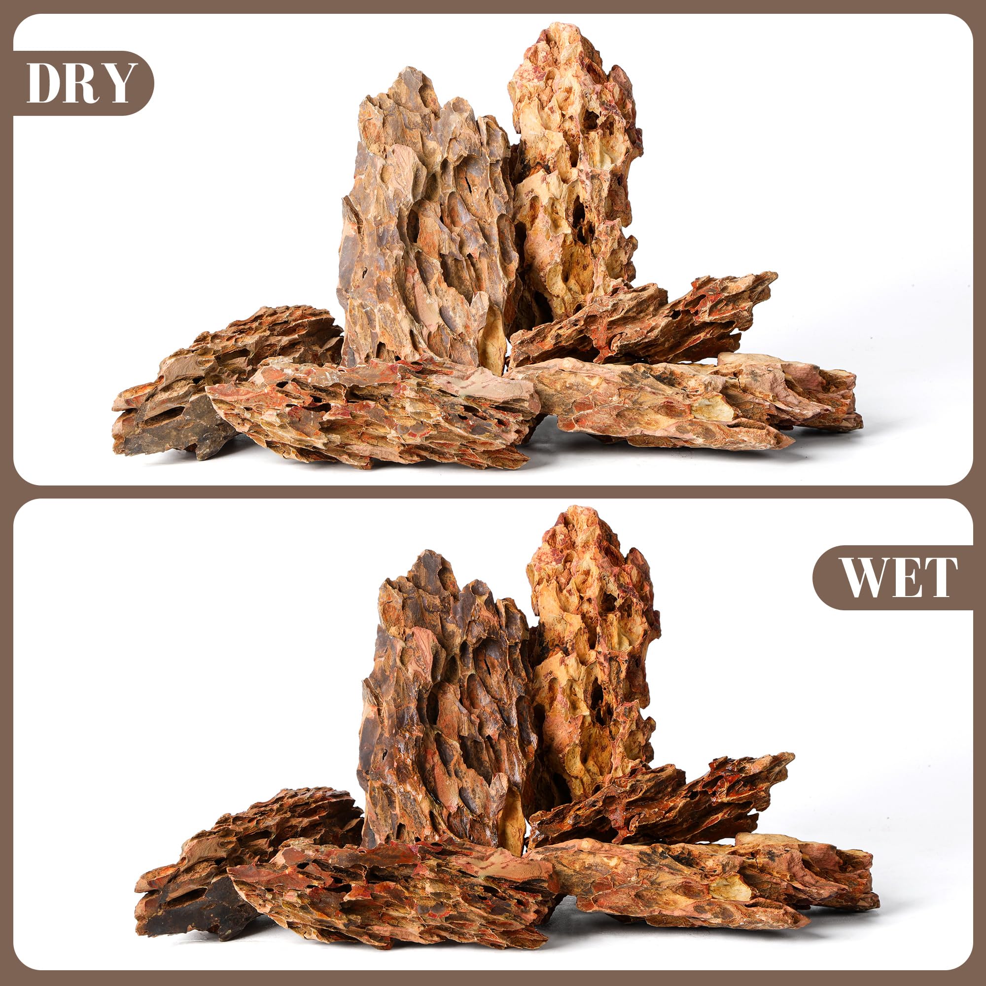FISCAPE Pierre Dragon naturelle, rocher unique avec variations naturelles pour chaque bac