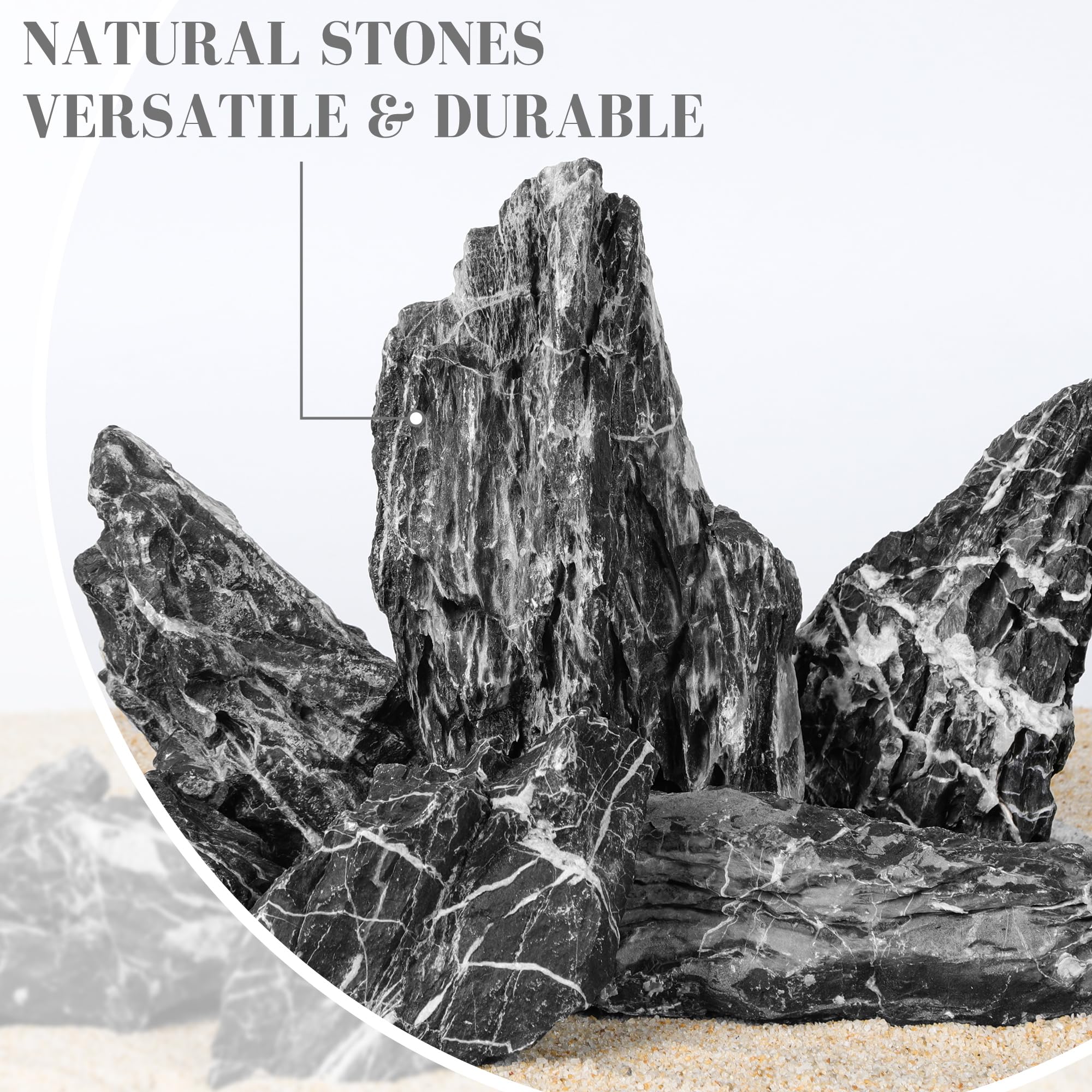 FISCAPE Pierre robuste pour terrariums et paludariums, décor naturel durable.