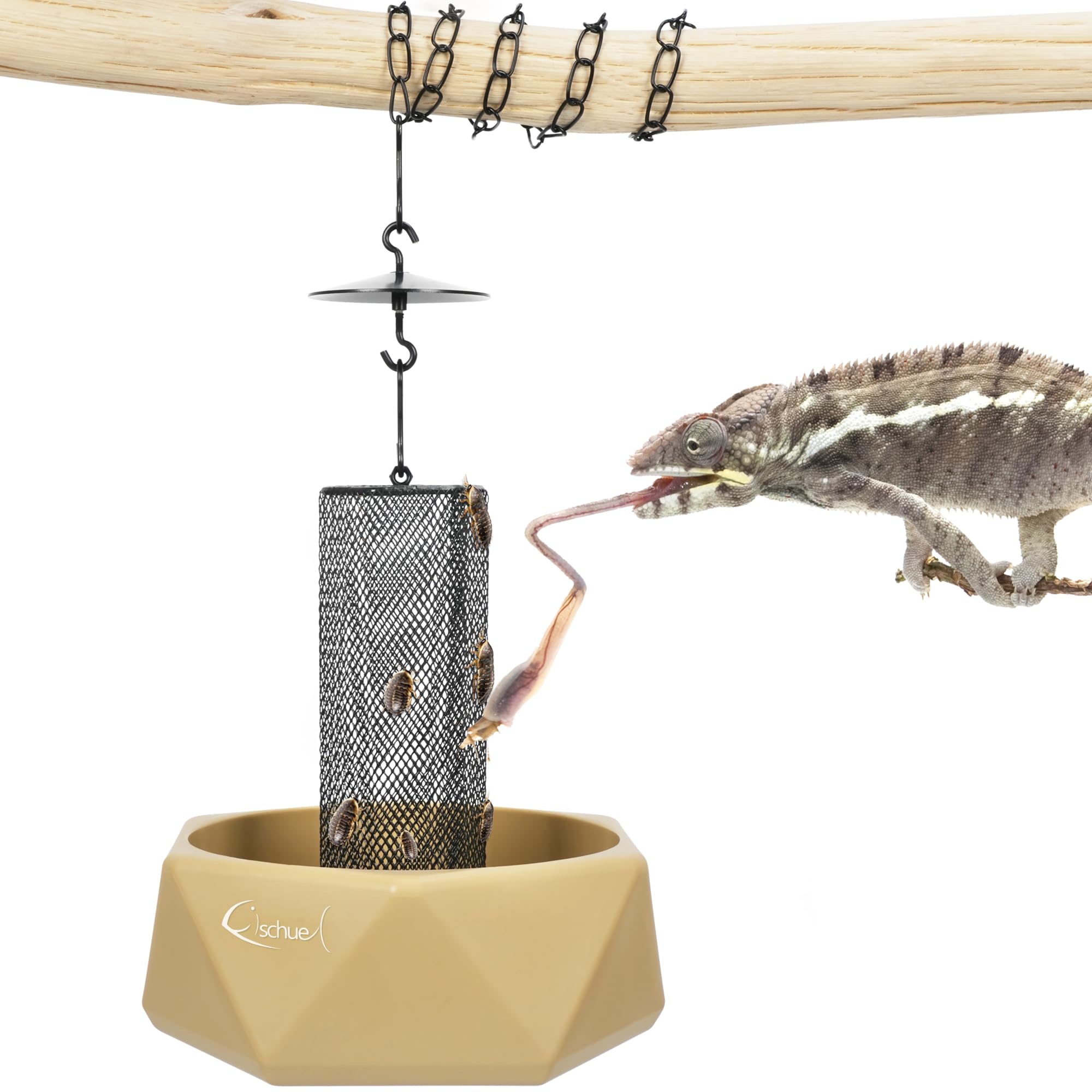 Bol Fischuel Chameleon en suspension facilitant l’accès aux proies