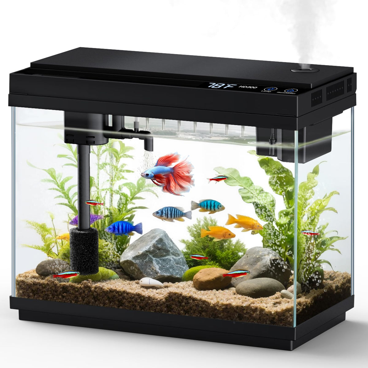 Fishkeeper aquarium de bureau 2,3 gal avec verre ultra clair pour une vue nette des poissons