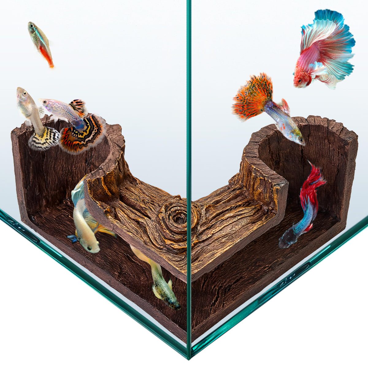 Grotte FISHNOSH au look bois naturel, idéale pour camoufler et apaiser les poissons.