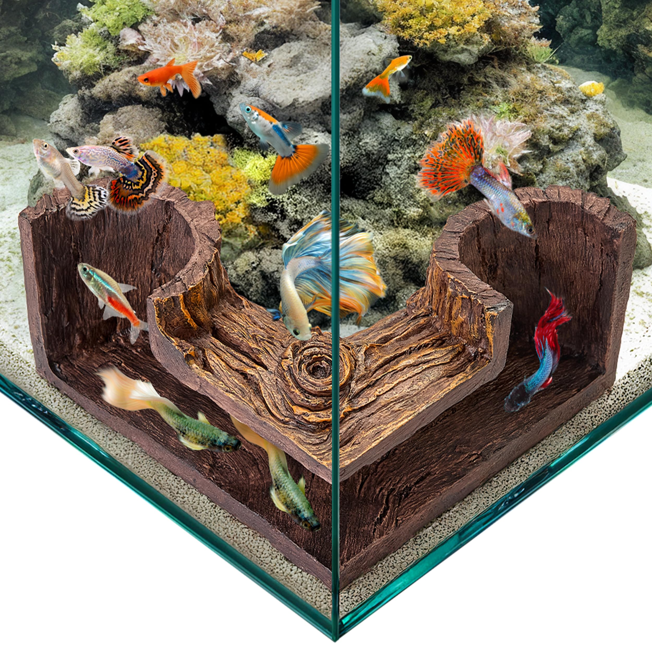 Compatible avec d'autres grottes FISHNOSH pour un agencement flexible.
