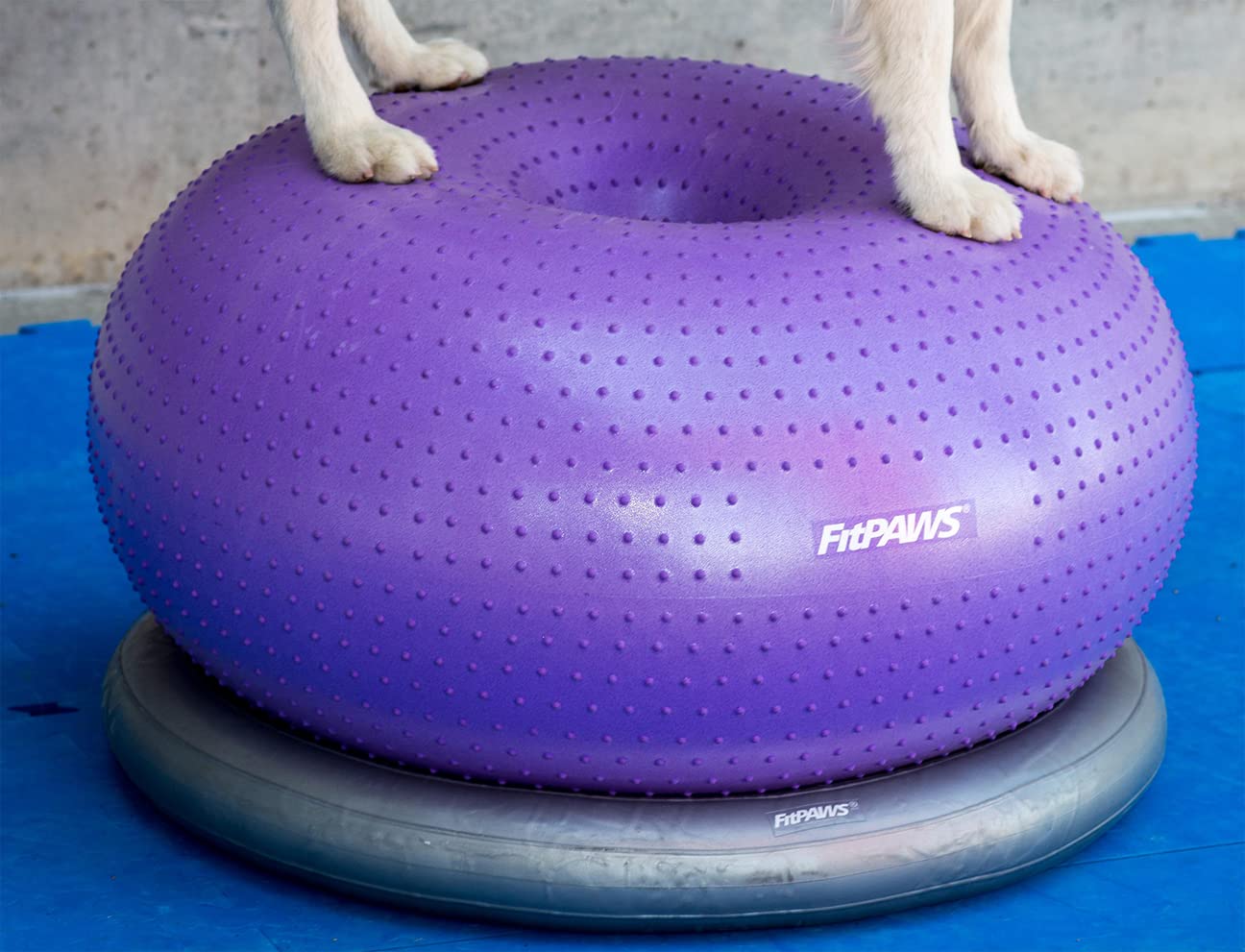 Fixation au sol du FitPAWS Donut Holder pour un placement simple