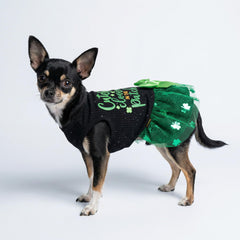 Nœud vert Fitwarm sur chien, ajoutant une touche festive.
