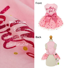 Détails nœud rose et robe Fitwarm pour petit chien
