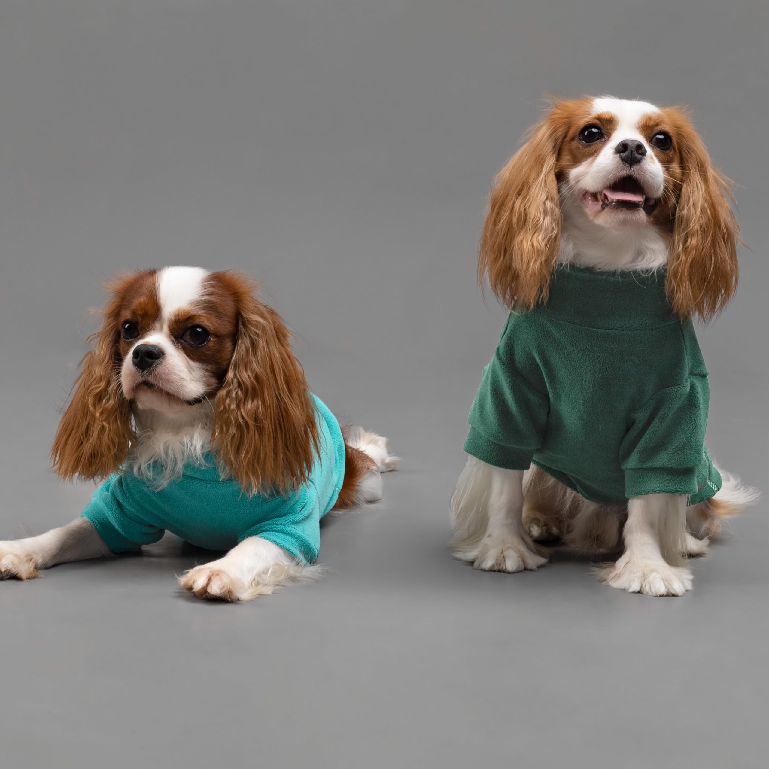 Pull polaire Fitwarm pour petit chat, fermeture facile et mouvements libérés.