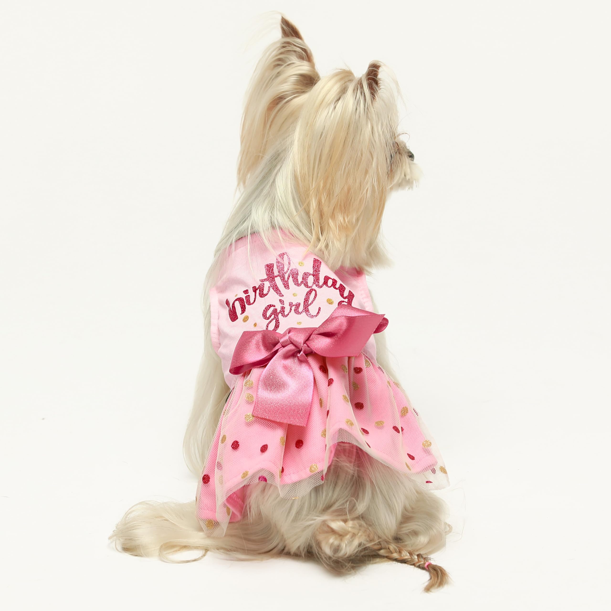 Robe Fitwarm anniversaire chat rose tulle, style élégant et doux.