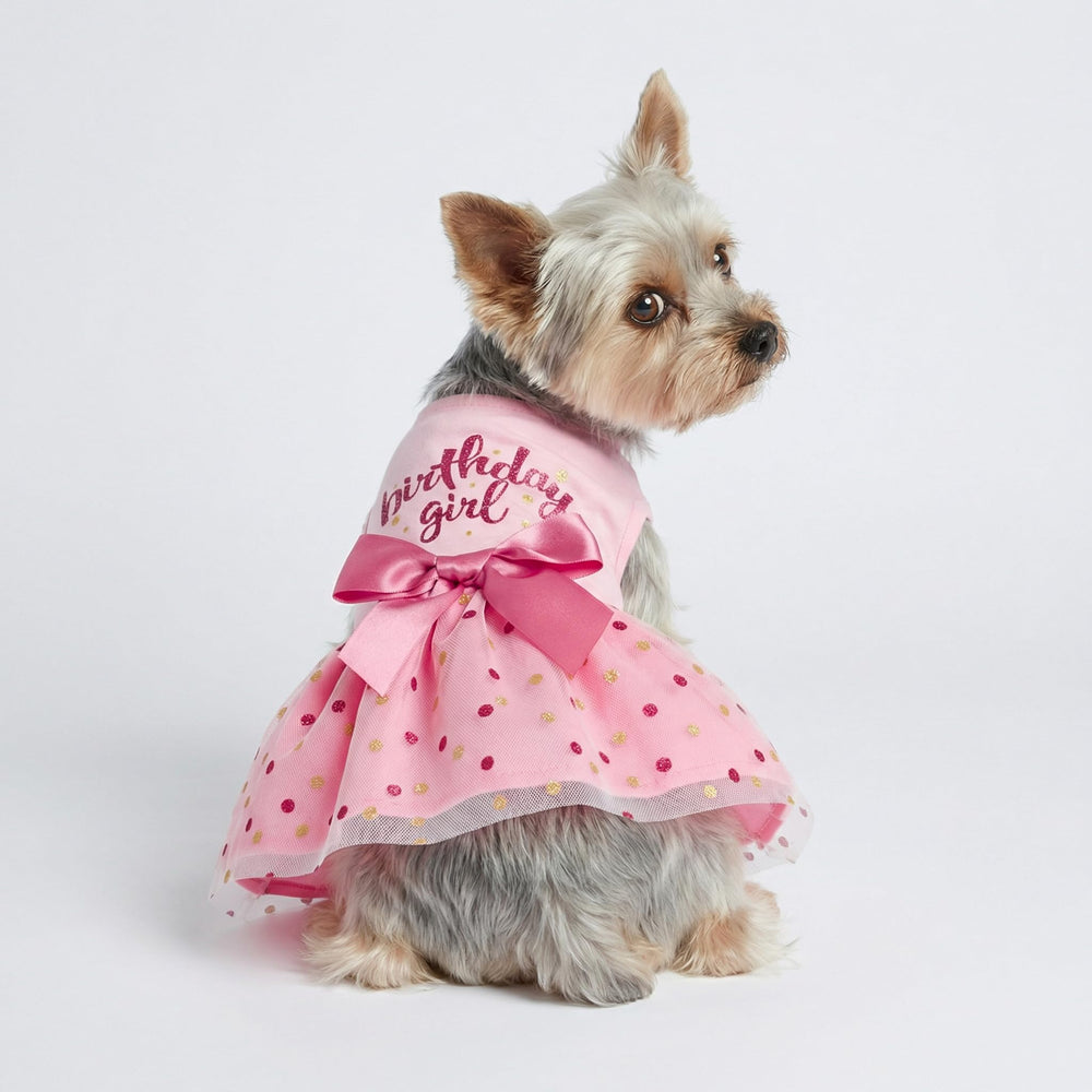 Robe Fitwarm anniversaire chien rose dos, coupe pratique pour l'habillage.