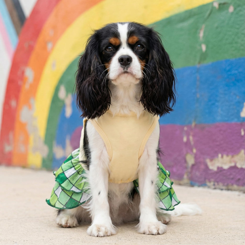 Robe Fitwarm en coton sur le haut pour chien, confort quotidien.