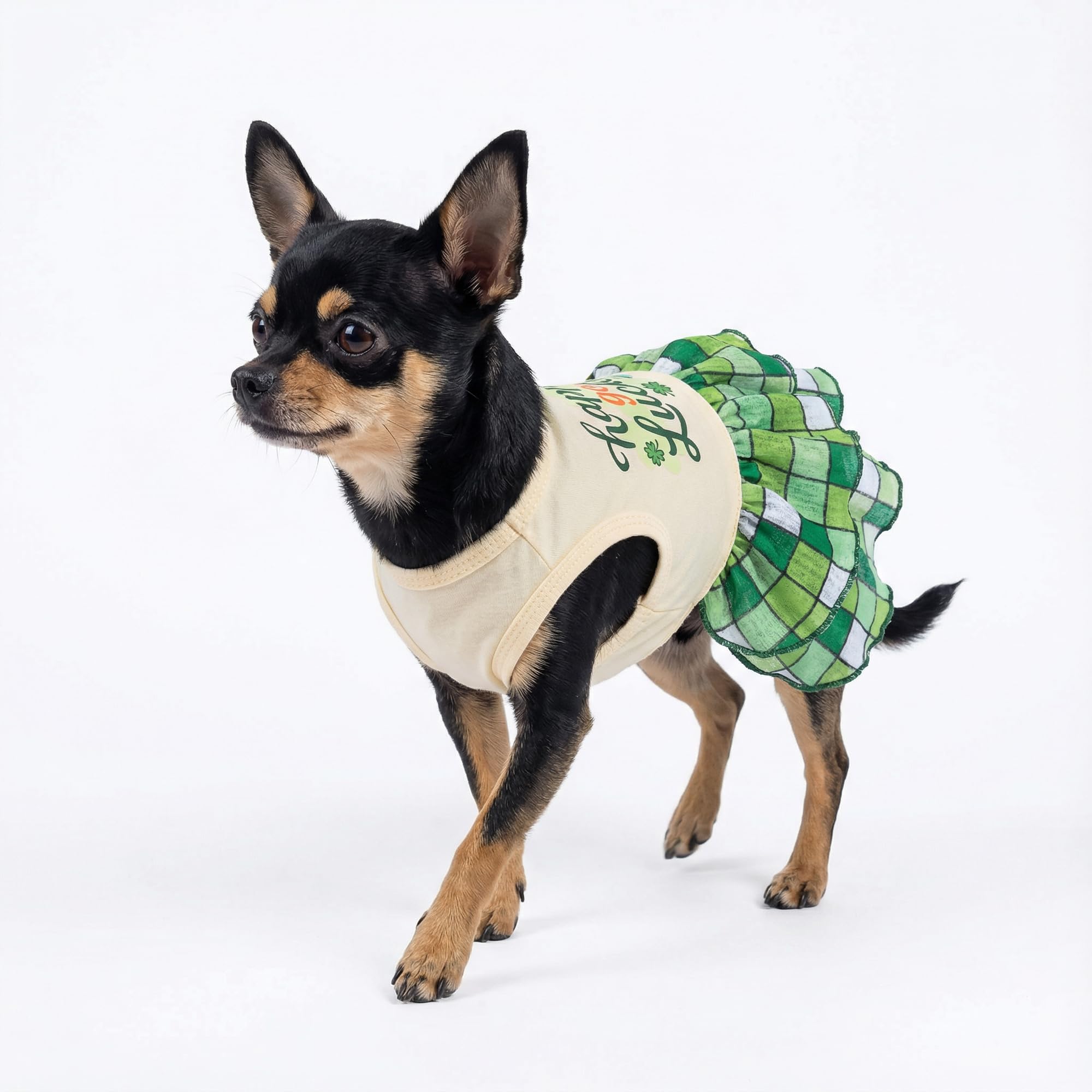 Robe Fitwarm en polyester léger pour chien, silhouette fluide lors des promenades.