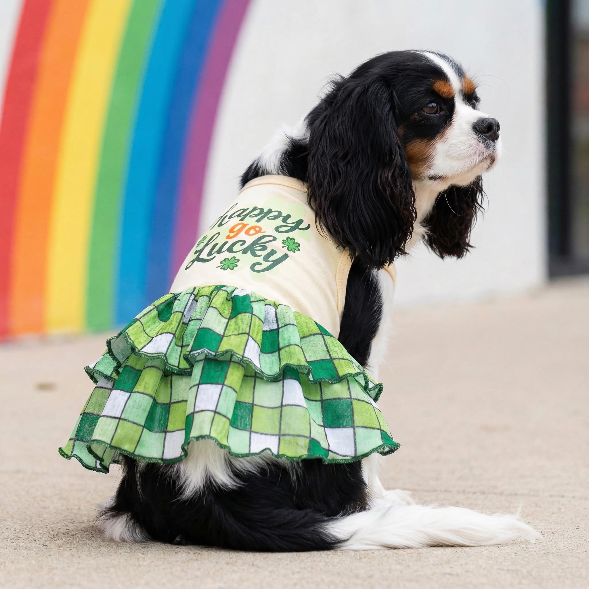 Robe Fitwarm pour chien Saint-Patrick en jaune clair, parfaite pour les photos festives