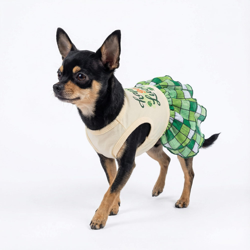 Robe Fitwarm pour chien Saint-Patrick jupe plissée, tenue légère en toutes saisons